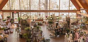 Flower Shop window