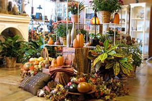 Flower Shops In Dewitt Iowa